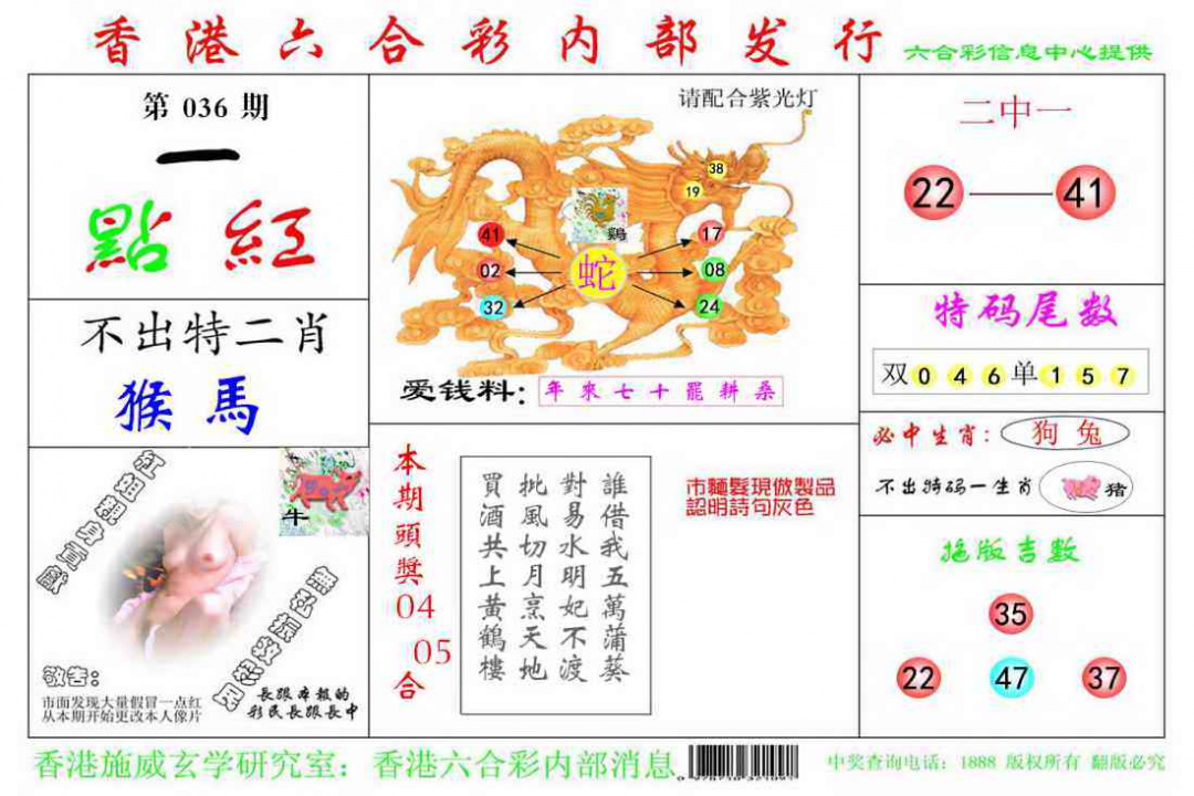 036期一点红[图]