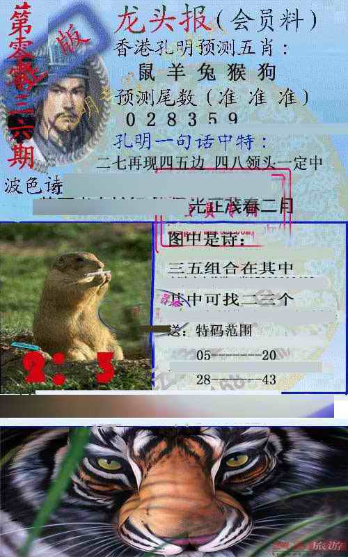 036期龙头报[图]